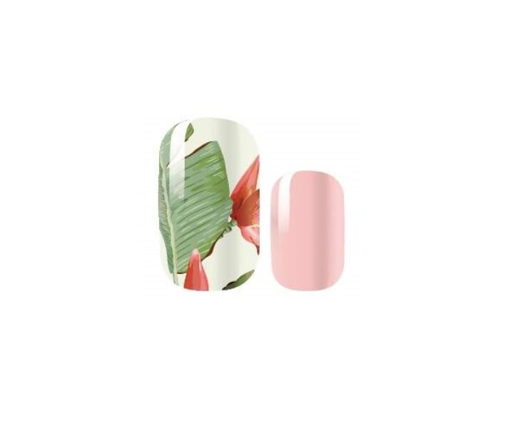 Bird of Paradise - Pink Floral - Dry Nail Polish - Long Wear Nail Wraps