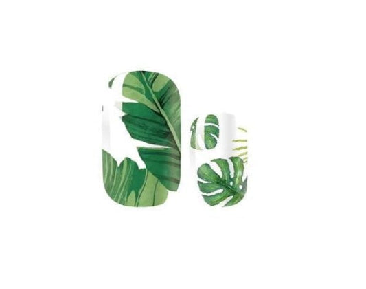 Nail Wraps - Nail Stickers - Nail Decals - Nail Strips - Monstera Leaves - Botanical - White and Green Jungle - Houseplant nail wraps