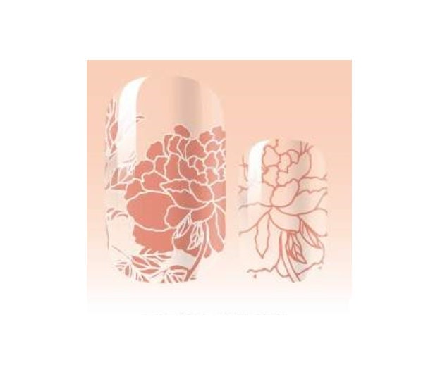 Nail Wraps - Clear Nail Wraps - Nail Decals - Nail Stickers - Transparent - Rose Gold - Floral